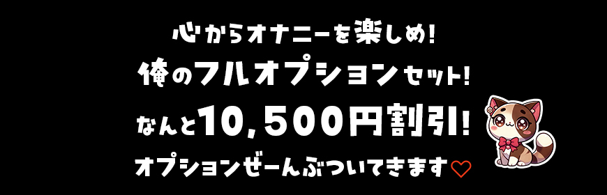 フルオプションで大幅値下げ!